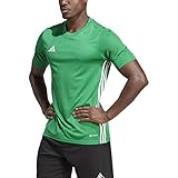 adidas Men's Tabela 23 Jersey, Team Green/White