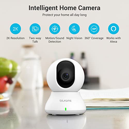 Blurams A31-2 2K Security Camera Ptz Indoor 2Pc thumb #1