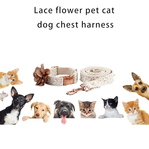 Harnais pour chien et chat Elegant Laces ajustable taille M - 3