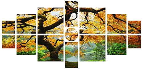Startonight Canvas Wall Art Maple Multi - Nature Tree Yellow - Landscape Framed Wall Art 40 by 83 Inches Set of 15