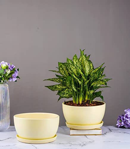 Image of Nurturing Green Modern Design 7.25 Inch Wide (Ivory White) Ceramic Pot | Ceramic Flower Pot for Home Decor & Gifting (Without Plants & Comes with Bottom Plate) - Set of 2 Pots