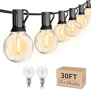 HISTAR Led String Lights Outdoor 30ft Patio Lights Waterproof with 27 G40 Shatterproof Bulbs, Connectable Globe String Lights for Outside, Backyard Balcony Bistro Party Cafe Lights