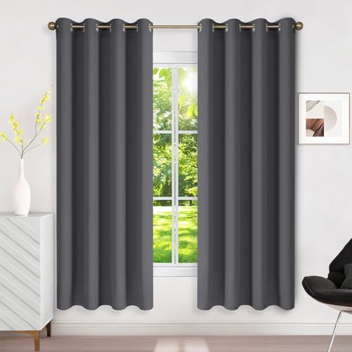 Runyéla Rideau Occultant Thermique Isolant Anti Froid 120x180 (LxH), Lot de 2 Rideaux Fenêtre Opaques Gris Foncé à Oeillets Anti Chaleur UV Bruit,...