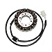 ElectroSport ESG752 Stator Yamaha V-Star 1700 - Hi Power