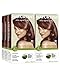 Naturtint Permanent Hair Color - 5C Light Copper Chestnut, 5.28 fl oz (6-pack)
