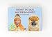 Hund und günstig Kaufen-Siehst du aus wie dein Hund. Ein Memo-Spiel, 144 x 100 mm