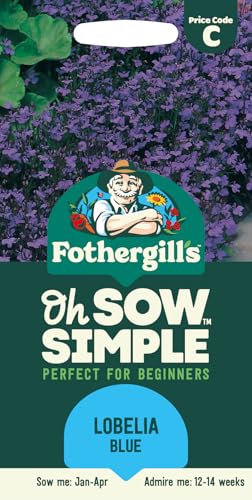 Fothergills Oh Sow Simple Lobelia Blue Flower Seeds Sow: Jan-Apr