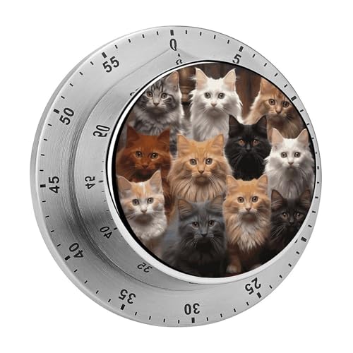 Base magnetica: il timer da cucina è dotato di una base magnetica che consente di attaccarlo facilmente a qualsiasi superficie contenente ferro, come frigorifero o forno, e sembra che ne faccia parte.