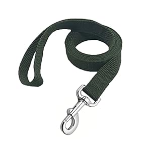 Strong Nylon Dog Leash, 4FT/ 5 FT/ 6FT Dog Leashes for Medium Large Dogs(4 FT, Green)