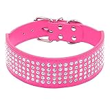 Berry Pet Rhinestones...image