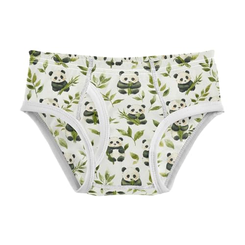 Boys' Exclusive Briefs Toddler Underwear 95% Combed Cotton Boxerbriefs 2T Watercolor Panda Bamboo Pattern