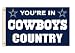Fremont Die NFL Dallas Cowboys 3-by-5 Foot In Country Flag