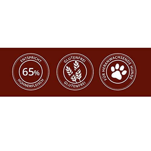 Bellfor Premium PUR Kids Glutenfrei Hundefutter für Welpen Ideale Nährstoffversorgung für Welpen, Junghunde, trächtige und laktierende Hunde 10 kg