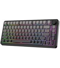 EPOMAKER GK75 Lite メカニカルキーボード　ゲーミングキーボード Amazon | EPOMAKER SKYLOONG GK75 Lite ガスケットライク