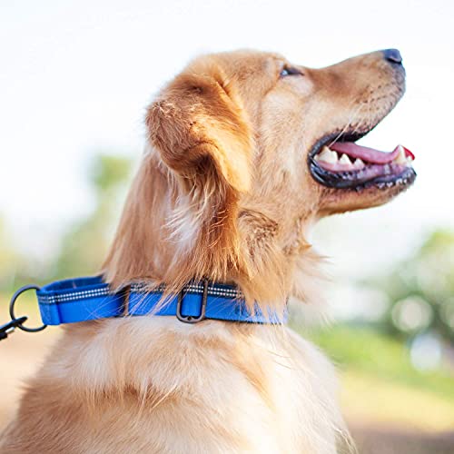 Collare per cani riflettente con martingala sicuro...