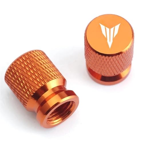 Bouchons de valve de pneu moto gris pour balade en MT - 4