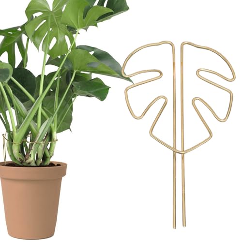 BOOHUQICH x ϗtA x K[fjO | Ԏgp Ђ낪 t[K[h AT|[g X|[ K[fjOpi |p gl