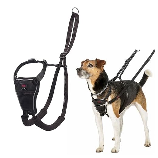 Best Solution For Dog Pulling On Leash For You in 2023 | Dog Harness HALTI No Pull Harness Size Small, Bestselling Professional Dog Harness to Stop Pulling on the Lead, Easy to Use, Anti-Pull Training Aid, Adjustable, Reflective and Breathable, For Small Dogs