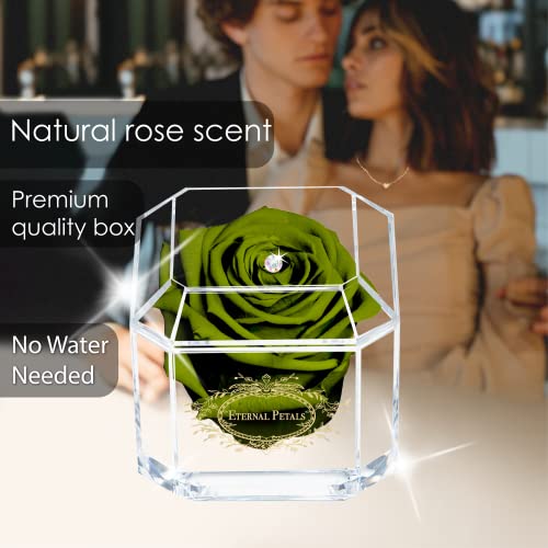 Eternal Petals A 100% Real Rose That Lasts Years, Handmade in UK - Gold Solo with A Multicolour Crystal (Dark Green) - Image 3