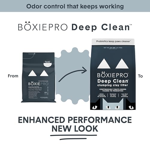 BoxiePro Deep Clean unscented clay litter scoop-free clumping results