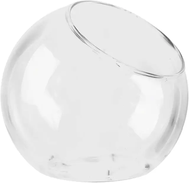 Glass Terrarium for Air Plants & Succulents - Tilted Mouth Round Pot