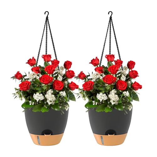 Generico Macetero autoirrigante | Decorativos con cesta de cadena, 2 unidades para macetas de exterior – Para exterior, pared, jardín, patio, porche, jardín, trasero, salón, dormitorio de casa