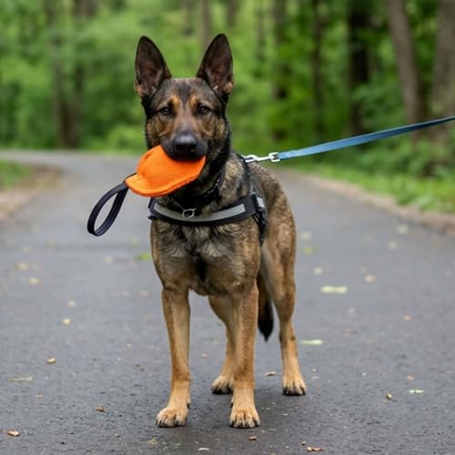 Dingo Gear Beißwurst,Berta'' mit 1 Griff #14cm Dicke 3 cm aus französischem Material (Nylcott) für Hundetraining IGP IPO Obedience Schutzhund Hundesport Blau S00091
