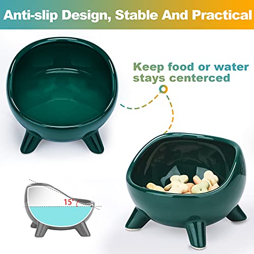 PETTOM Ciotola in Ceramica con 4 piedi rialzati