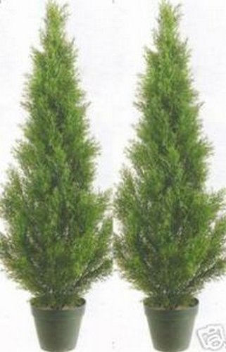 Two 3 Foot Artificial Cedar Topiary Trees Potted Indoor Or Outdoor #TOP8