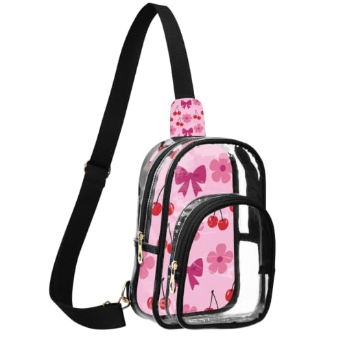 Bolso transparente aprobado para viajeros con cremallera metálica 2
