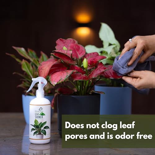 Image of DIVINE TREE Leaf Shiner Spray for Indoor & Outdoor Plants 500ml | Natural Leaf Shine & Cleaner | Ready-to-Use Non-Toxic, Eco-Friendly Foliar Formula for Glossy Green Leaves & Healthy Plant Care