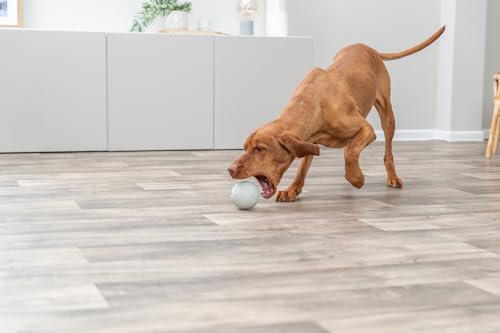 TRIXIE Dog Activity Snackball Naturgummi ø 9 cm Hundespielzeug