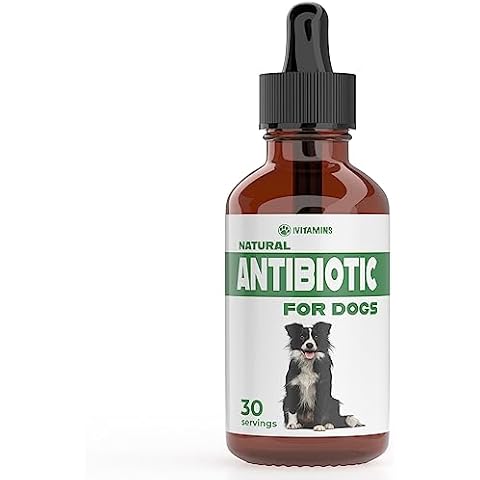 Natural Dog Antibiotics - Antibiotics for Dogs - Antibiotic for Dog - Yeast Infection Treatment for Dogs - Dog Yeast Infection Treatment - Itch Relief for Dogs - 1 fl oz - Bacon Flavor Cover