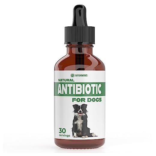 Natural Antibiotics for Dogs | Dog Antibiotics | Supports Dog Allergy Relief | Dog Itch Relief | Dog Allergy Support | Dog Multivitamin | Pet Antibiotics | Dog Antibiotic | 2 Pack: 60 Servings Total
