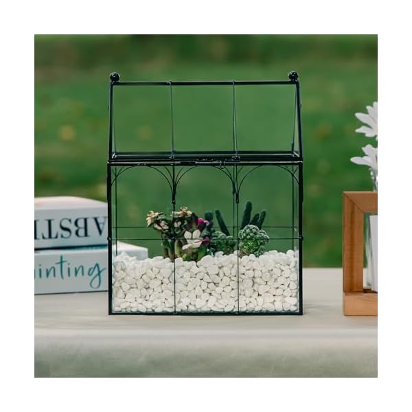 75-x-49-x-9-Glass-Geometric-Plant-Terrarium-Indoor-Tabletop-Centerpiece-Display-Box-Modern-Decor-DIY-Gift-Plant-Terrarium-Container-for-Home-Garden-Office-Decoration 75-x-49-x-9-Glass-Geometric-Plant-Terrarium-Indoor-Tabletop-Centerpiece-Display-Box-Modern-Decor-DIY-Gift-Plant-Terrarium-Container-for-Home-Garden-Office-Decoration