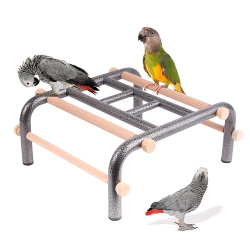 Metal Ladder Large Bird Training Perch for Fun and Exercising, No Tool Quick Install Heavy-Duty Rustproof Table Training Perch with Wooden Bars for African Grey Macaw Amazon Parrot