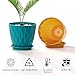 FaithLand 6-Pack 6-Inch Plastic Plant Pots with Saucers | Thickened PP Material, Modern Wave Texture, Enhanced Drainage for Indoor/Outdoor Garden Plants | Multicolor Value Set