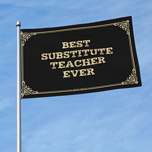 Drapeaux pour dortoirs Best Substitute Teacher Ever 152x244 cm couleur salon