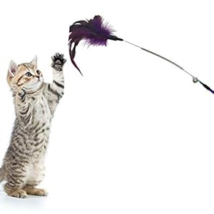 PSK PET MART Pet Cat Feather Spring Stick Teaser Kitten Interactive Bell Rod Wand Playing Toy-1 Piece (Color May Vary)