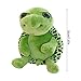Imagen de Generisch Tortuga verde de peluche de ojos grandes