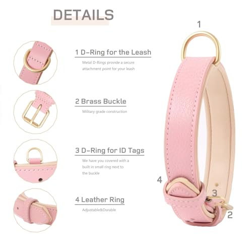 HEELE Hundehalsband Leder Hundehalsband mit gepolstert und echtes Leder, Verstellbar, Halsband für Welpen Kleine Hunde, Rosa, S