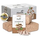 Hawlik Pilzbrut
