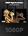 Capshi HDMI A to DVI Adapter Cable 6FT, High-Speed Gold-Plated Plug and Play Bi-Directional Nylon Braid 1080p, DVI to HDMI Adapter for Televison/Monitor/Video Card/Graphics Card