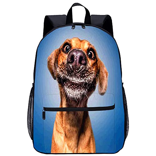 Sac à dos scolaire solide pour soulager le dos de l'élève