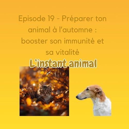 Page de couverture de # 19 Préparer ton animal à l’automne : booster son immunité et sa vitalité