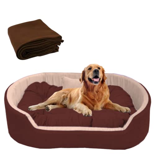 DRILLY Washable Dog/cat Bed with Blanket for Small | Medium | Large | Extra Large | XXL | XXXL | 4XL Size Dogs | Cats | Puppy | pet | Rabbit | Persian cat | Indoor cat (M) (B0C5HXBMZG) Amazon Price History, Amazon Price Tracker