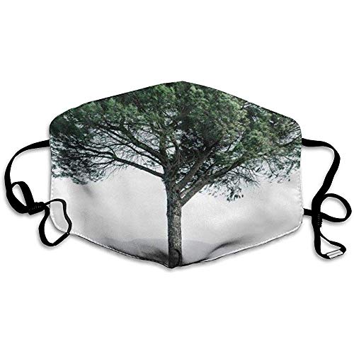 Preisvergleich Produktbild Mundmasken Weihnachtsfeen Muster Unisex Anti-Staub waschbar Wiederverwendbare Mundmaske Modedesign für Mädchen Frauen Jungen Männer