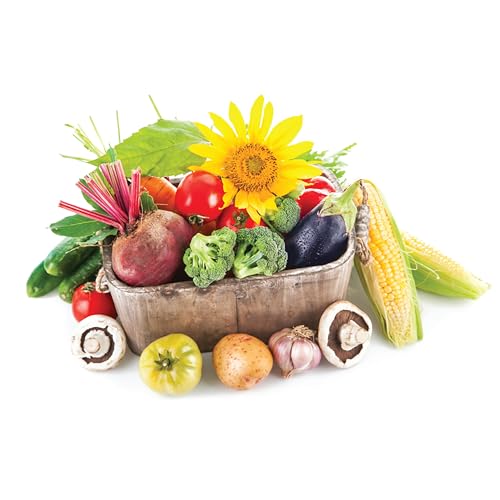 Jobe'S Organics 09524 Jobe’S Organics Granular All Purpose Fertilizer, Easy Plant Care Fertilizer For Vegetables, Flowers, Shrubs, Trees thumb #5