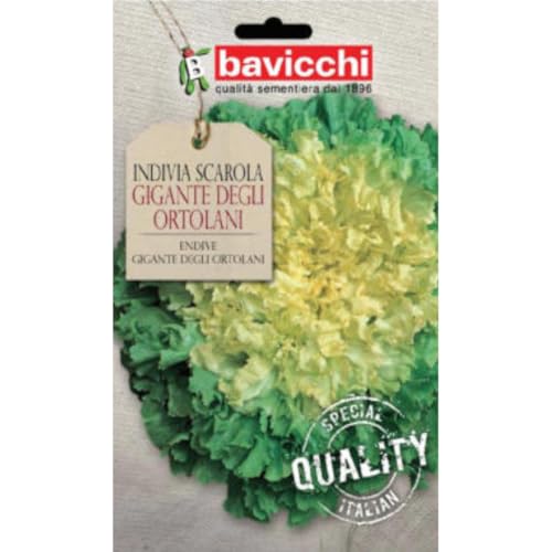Bavicchi buste semi orto plus (Indivia scarola gigante degli ortolani)