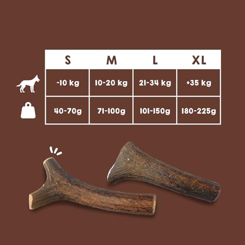 MAIKAI Packung 2 Hirschgeweih für Hunde Größe L – Natürlicher Kauknochen + Widerstandsfähig – Ideal für Mittlere Hunderassen bis 30 kg – Langlebiges Hundespielzeug
